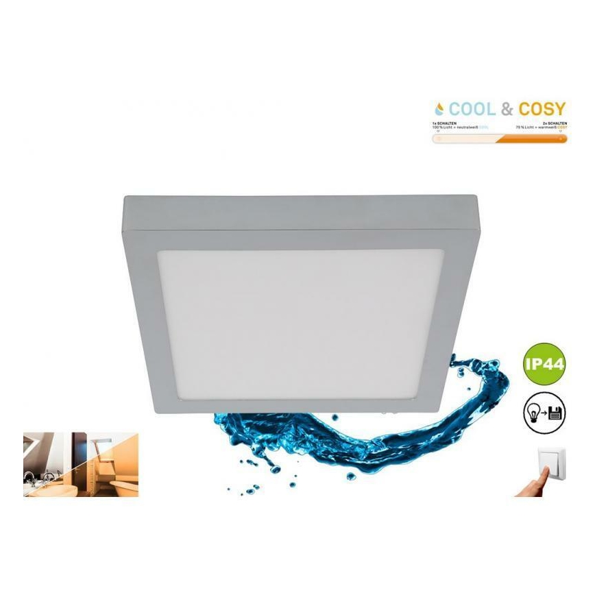 Briloner 3142-018 - LED Kopalniška stropna svetilka COOL&COSY LED/21W/230V 2700/4000K IP44