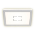 Briloner 3174-014 - LED Stropna svetilka FREE LED/12W/230V 19x19 cm