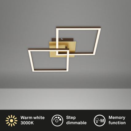 Briloner 3210-017 - LED Zatemnitvena stropna svetilka FRAME 2xLED/11W/230V zlata