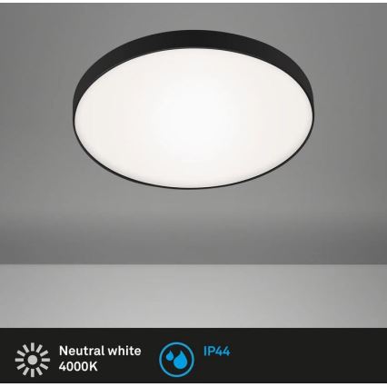 Briloner 3351-015 - LED Kopalniška stropna svetilka MALBONA LED/13W/230V IP44