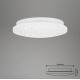 Briloner 3388-016 - LED Stropna svetilka VIPE LED/8W/230V