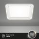 Briloner 3397-016 - LED Stropna svetilka FREE LED/22W/230V