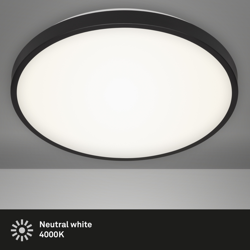 Briloner 3455-215 - LED stropna svetilka MANNY LED/24W/230V