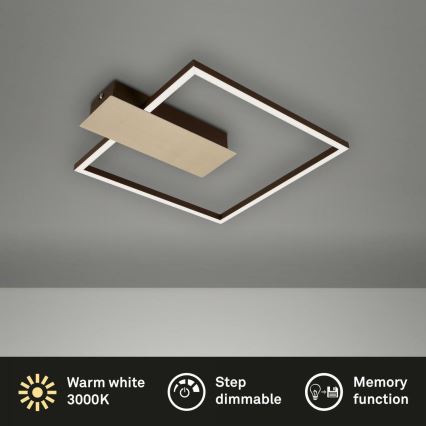 Briloner 3544-017 - LED Zatemnitvena stropna svetilka NICO LED/12W/230V zlata