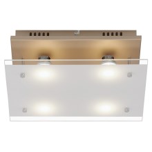 Briloner 3586-047 - LED Stropna svetilka SMART GOLD 4xGU10/4W/230V