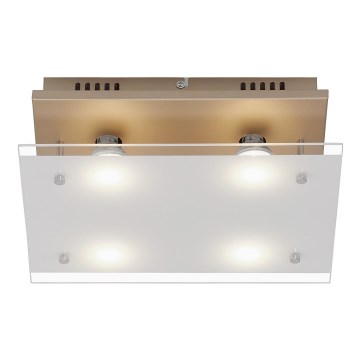 Briloner 3586-047 - LED Stropna svetilka SMART GOLD 4xGU10/4W/230V