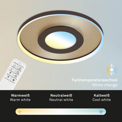 Briloner 3640017 - LED Zatemnitvena stropna svetilka FRAME LED/25W/230V 2700-6500K + Daljinski upravljalnik