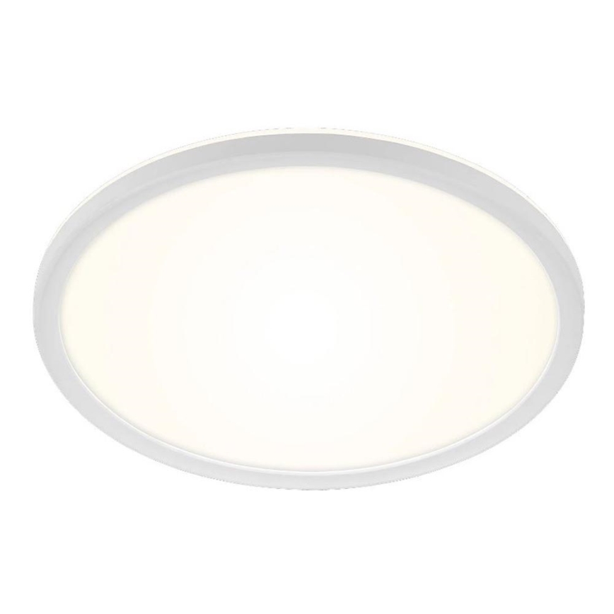 Briloner 3642-416 - LED Kopalniška stropna svetilka SLIM LED/19W/230V IP44 bela