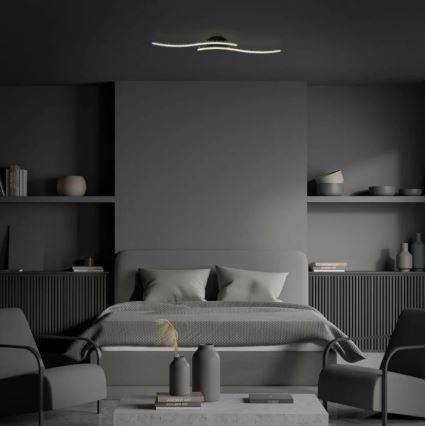 Briloner 3718-025 - LED Nadgradni lestenec REY 2xLED/6W/230V črna