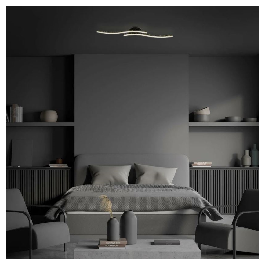 Briloner 3718-025 - LED Nadgradni lestenec REY 2xLED/6W/230V črna