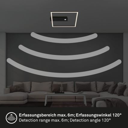 Briloner 3770-015 - LED stropna svetilka z detektorjem gibanja in senzorjem mraka FRAME LED/14W/230V 3000K 30x32 cm črna