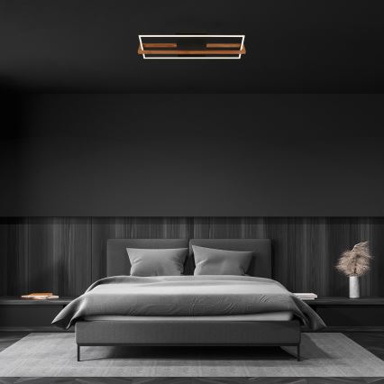 Briloner 3777-015 - LED stropna svetilka FRAME LED/21W/230V 3000K črna