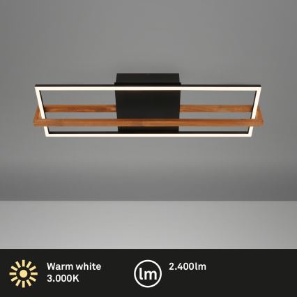 Briloner 3777-015 - LED stropna svetilka FRAME LED/21W/230V 3000K črna