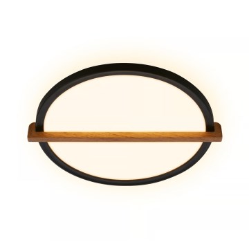 Briloner 3844015 - LED stropna svetilka LED/18W/230V, premer 31,5 cm