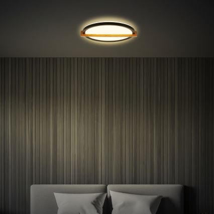 Briloner 3844015 - LED stropna svetilka LED/18W/230V, premer 31,5 cm