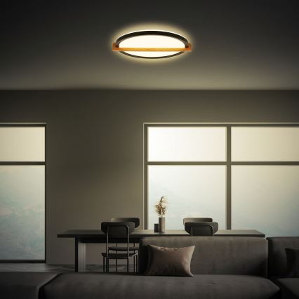 Briloner 3844015 - LED stropna svetilka LED/18W/230V, premer 31,5 cm