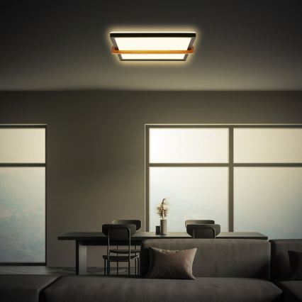 Briloner 3845015 - LED stropno svetilo LED/18W/230V 29,5x31,5 cm