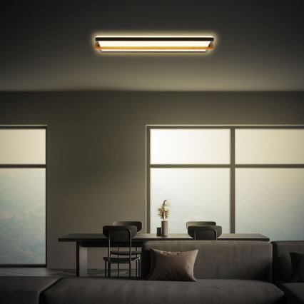 Briloner 3846015 - LED stropno svetilo REMSA LED/22W/230V 3000K 60,5x20 cm črna