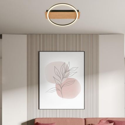 Briloner 3908-014 - LED stropna svetilka KADA LED/14W/230V premer 30 cm črna/rjava