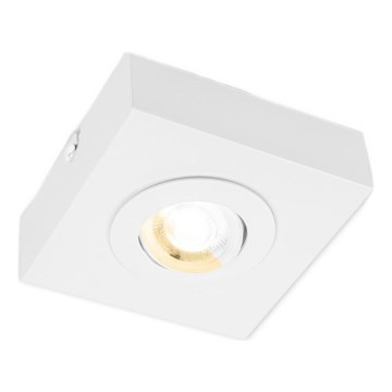 Briloner 3996016 - LED Reflektor CTS LED/4W/230V 2700/4000K bela