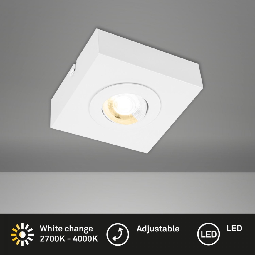 Briloner 3996016 - LED Reflektor CTS LED/4W/230V 2700/4000K bela