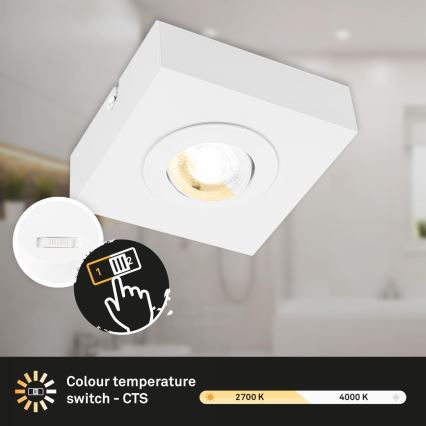 Briloner 3996016 - LED Reflektor CTS LED/4W/230V 2700/4000K bela