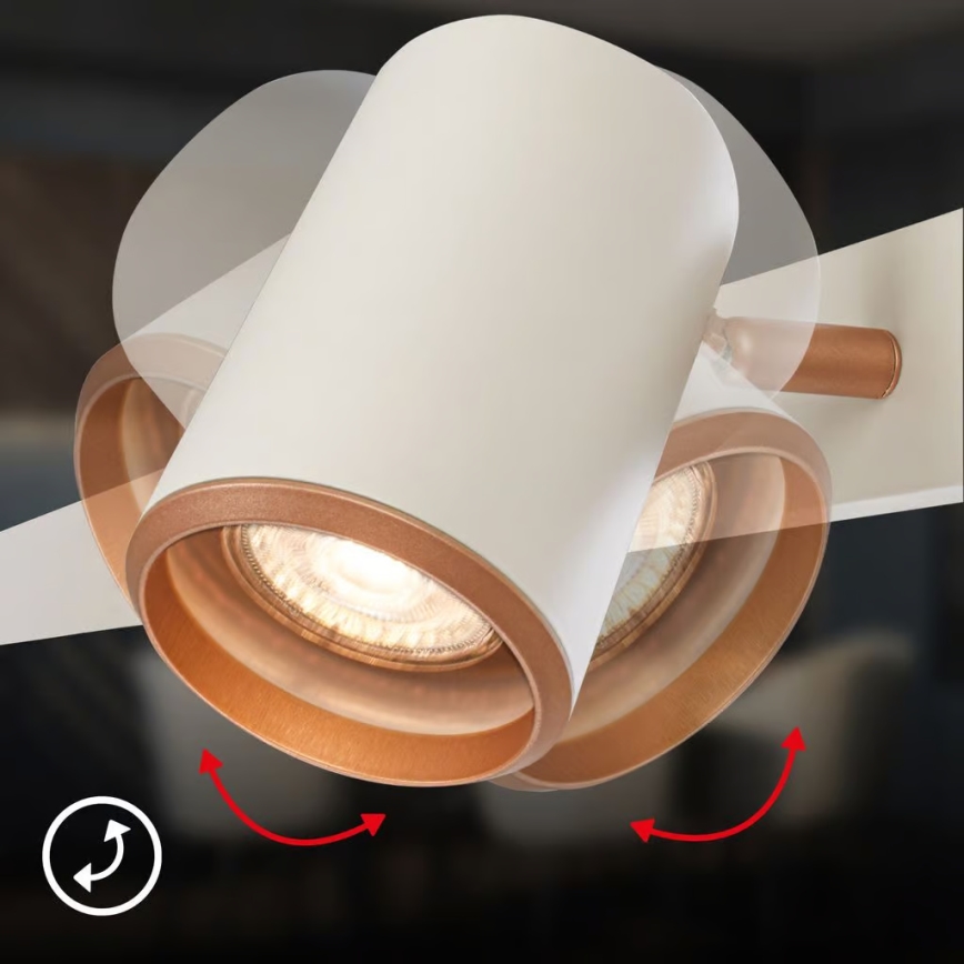 Briloner 4058044 - Lestenec na kablu ERA 4xGU10/10W/230V kremna