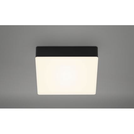 Briloner 7069-015 - LED Stropna svetilka LED/11W/230V črna
