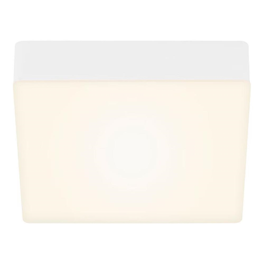 Briloner 7069-016 - LED Stropna svetilka LED/11W/230V bela