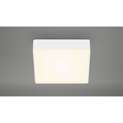 Briloner 7069-016 - LED Stropna svetilka LED/11W/230V bela