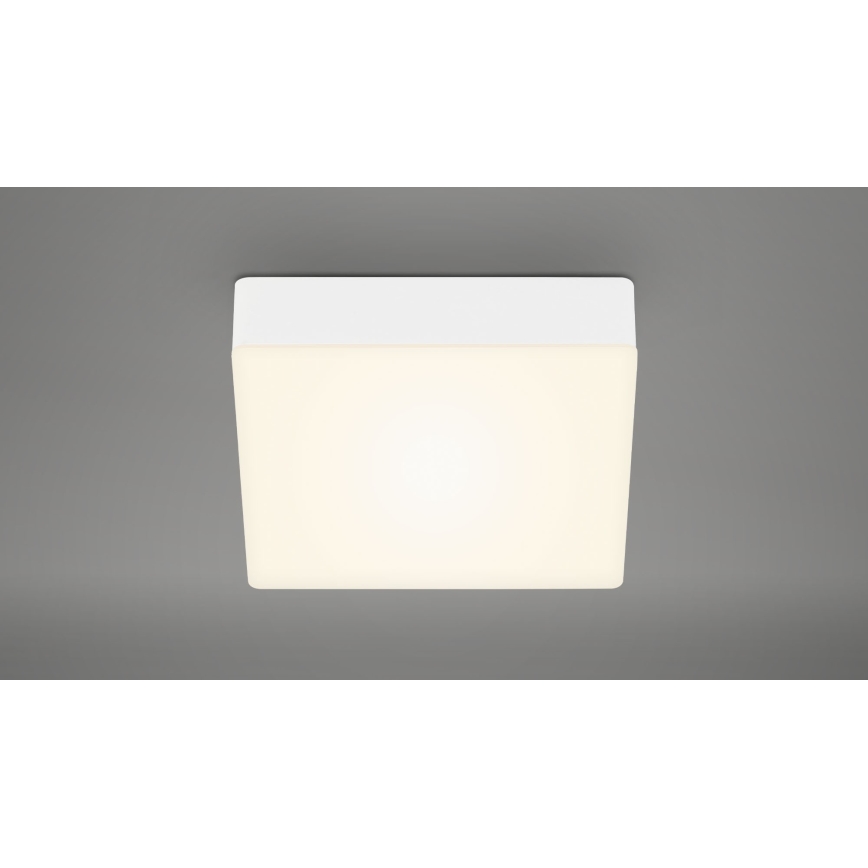 Briloner 7069-016 - LED Stropna svetilka LED/11W/230V bela