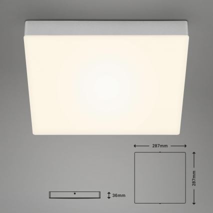 Briloner 7071-014 - LED Stropna svetilka FLAME LED/21W/230V 3000K 28,7x28,7 cm srebrna