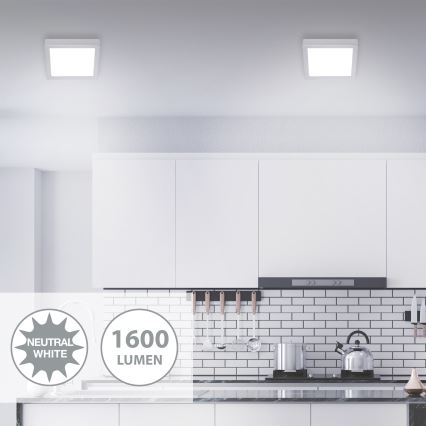 Briloner 7118-414 - LED Stropna svetilka FIRE LED/16,5W/230V 4000K