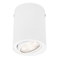 Briloner 7119-016 - LED Reflektor TUBE 1xGU10/5W/230V okrogla