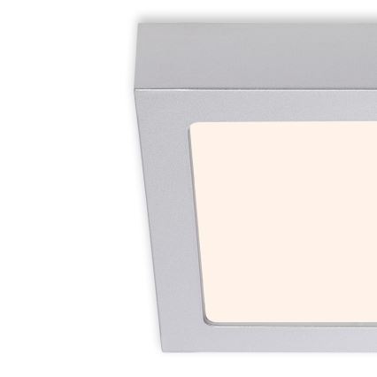 Briloner 7123-014 - LED stropna svetilka FIRE LED/12W/230V 3000K 17x17cm srebrna