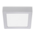 Briloner 7123-414 - LED Stropna svetilka FIRE LED/12W/230V srebrna