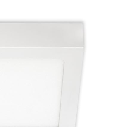 Briloner 7123-416 - LED Stropna svetilka FIRE LED/12W/230V bela