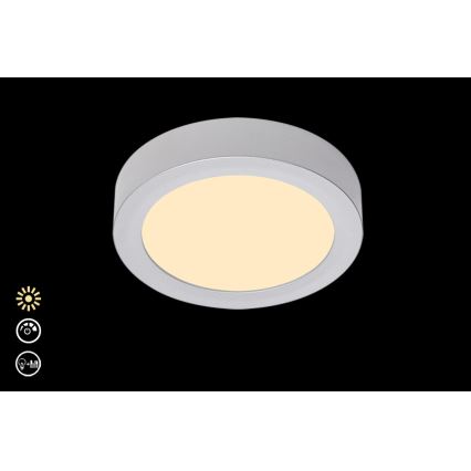 Briloner 7124-014 - LED Zatemnitvena stropna svetilka FIRE LED/12W/230V 3000K