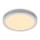 Briloner 7132-014 - LED Stropna svetilka FIRE LED/21W/230V 3000K IP44