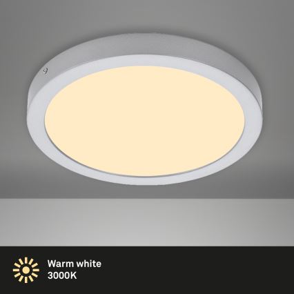 Briloner 7132-014 - LED Stropna svetilka FIRE LED/21W/230V 3000K IP44