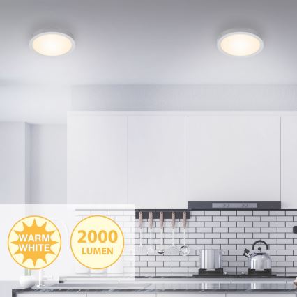 Briloner 7141-014 - LED Stropna svetilka FIRE LED/21W/230V 3000K