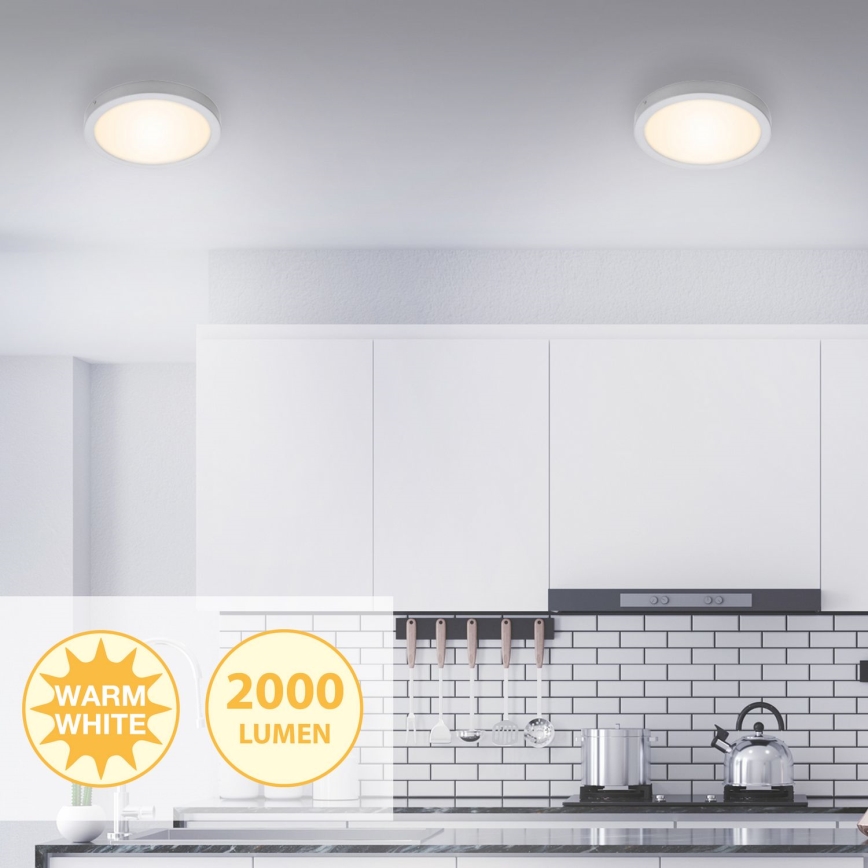 Briloner 7141-014 - LED Stropna svetilka FIRE LED/21W/230V 3000K