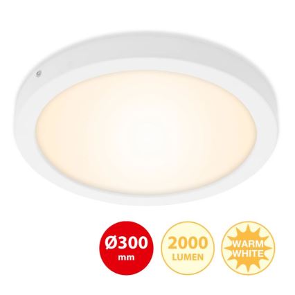 Briloner 7141-016 - LED Stropna svetilka FIRE LED/21W/230V