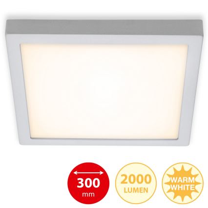 Briloner 7142-014 - LED Stropna svetilka FIRE LED/21W/230V 3000K