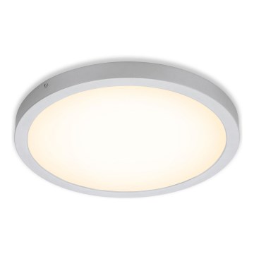 Briloner 7143-014 - LED Stropna svetilka FIRE LED/24,5W/230V 3000K