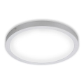 Briloner 7143-414 - LED Stropna svetilka FIRE LED/24,5W/230V 4000K