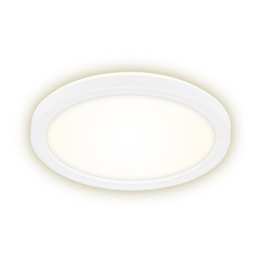 Briloner 7150-416 - LED Stropna svetilka SLIM LED/12W/230V pr. 19 cm