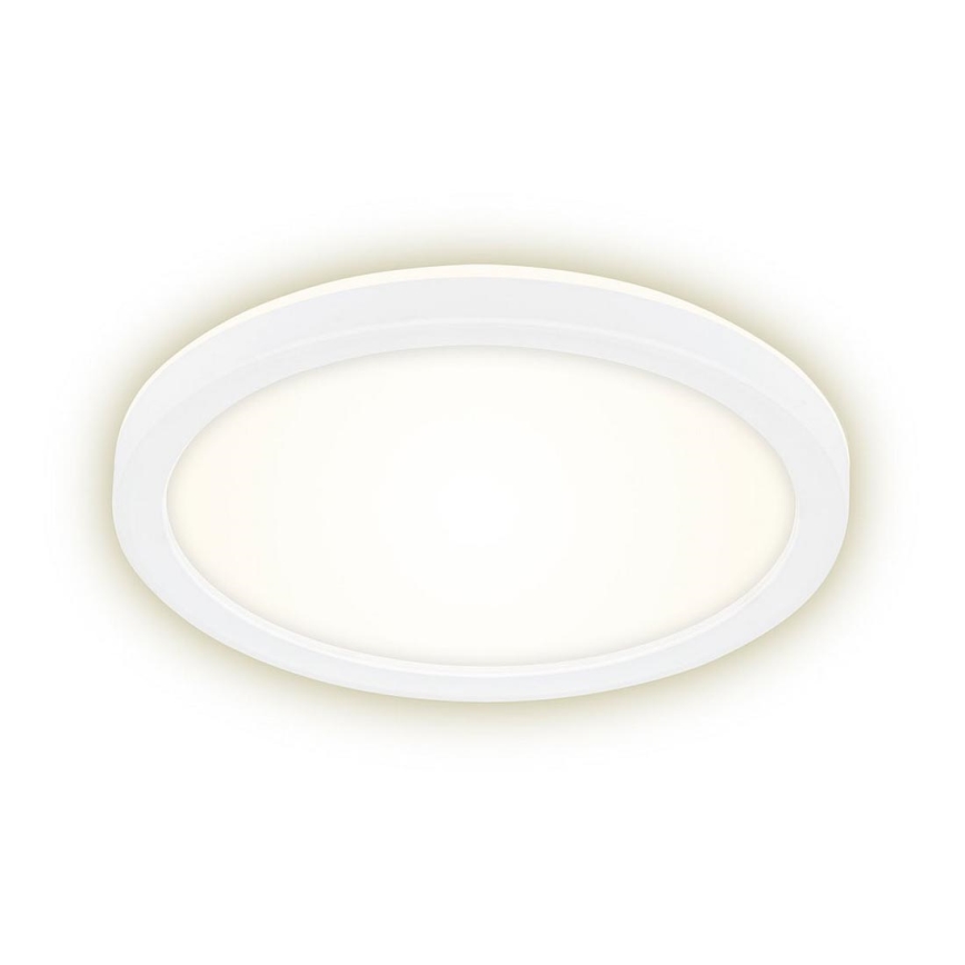 Briloner 7150-416 - LED Stropna svetilka SLIM LED/12W/230V pr. 19 cm