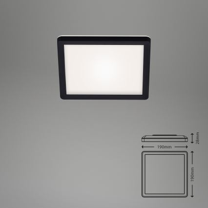 Briloner 7153-415 - LED stropna svetilka SLIM LED/12W/230V 19x19 cm