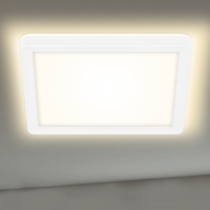 Briloner 7153-416 - LED Stropna svetilka SLIM LED/12W/230V